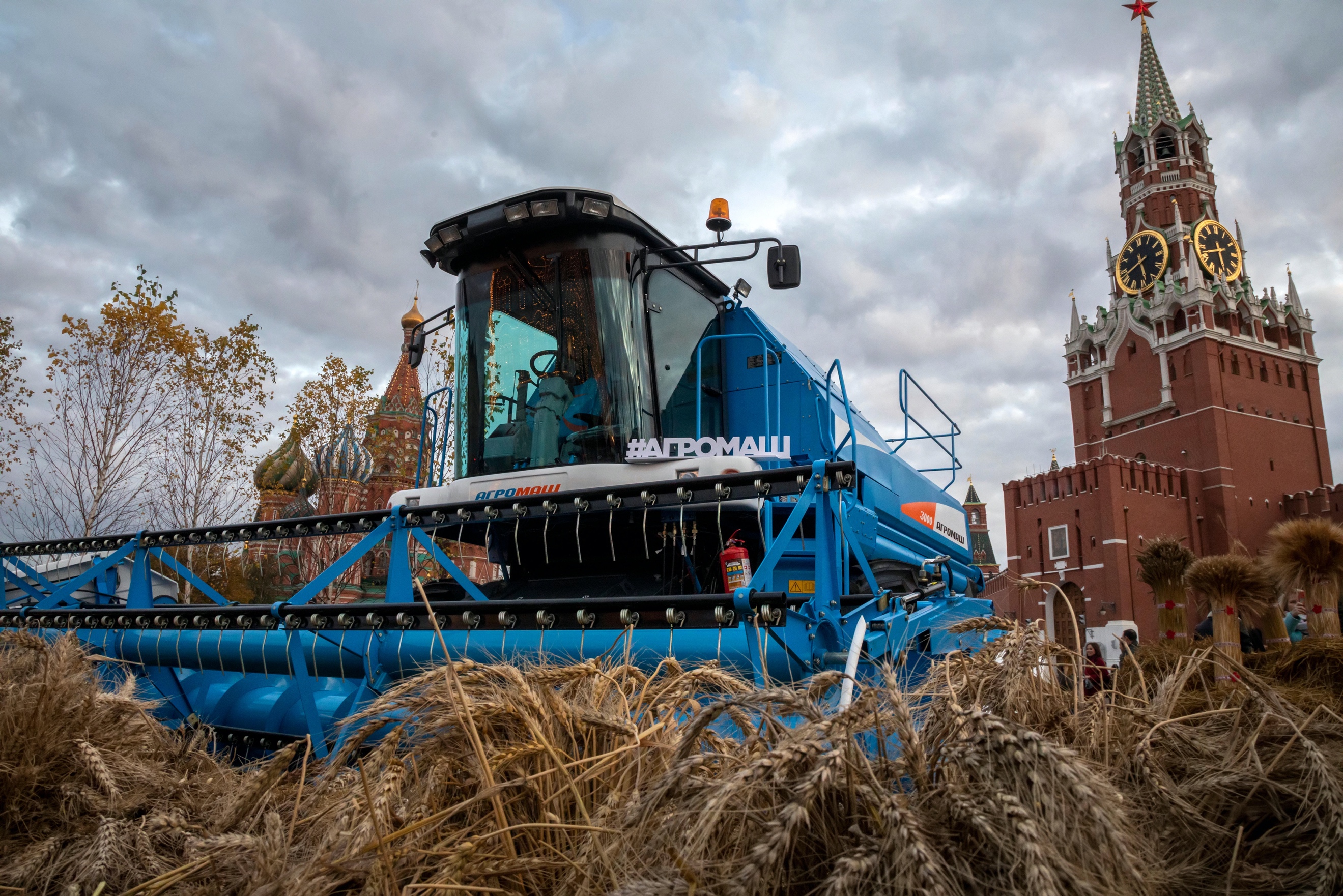 Harvest 2.jpg