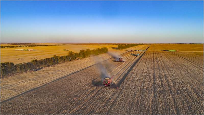 harvest.jpg